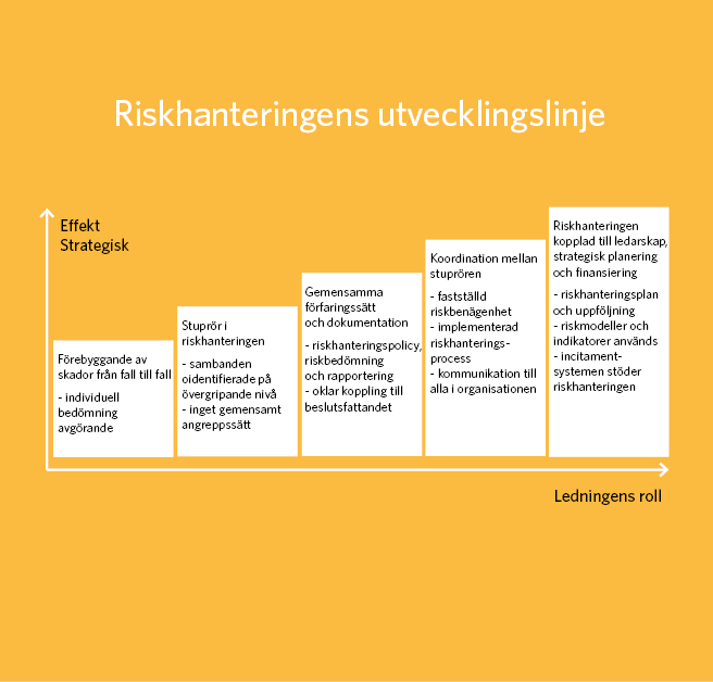 I början av utvecklingslinjen är genomslagskraften och strategiska karaktären samt ledningens roll som minst. De växer på följande sätt (5 steg): 1. Förebyggande av skador från fall till fall: Individens bedömning är avgörande. 2. Stuprör i riskhanteringen: sambanden oidentifierade på övergripande nivå, inget gemensamt angreppssätt: 3. Gemensamma förfaringssätt och dokumentation: Riskhanteringspolitik, riskbedömning och rapportering, oklar koppling till beslutsfattandet. 4. Koordination mellan stuprören: Riskvilligheten definierad, riskhanteringsprocessen implementerad, kommunikation till alla i organisationen. 5. Riskhanteringen kopplad till ledarskap, strategisk planering och finansiering: Riskhanteringsplan och uppföljning, riskmodeller och indikatorer använda, incitamentssystemen stöder riskhanteringen.