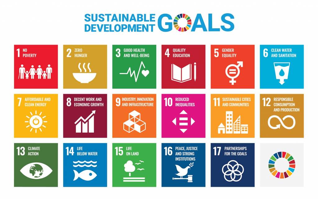 No poverty, zero hunger, good health and well-being, quality education, gender equality, clean water and sanitation, affordable and clean energy, decent work and economic growth, industry, innovation and infrastructure, reduced inequality, sustainable cities and communities, responsible consumption and production, climate action, life below water, life on land, peace and justice and strong institutions, partnerships for the goals.